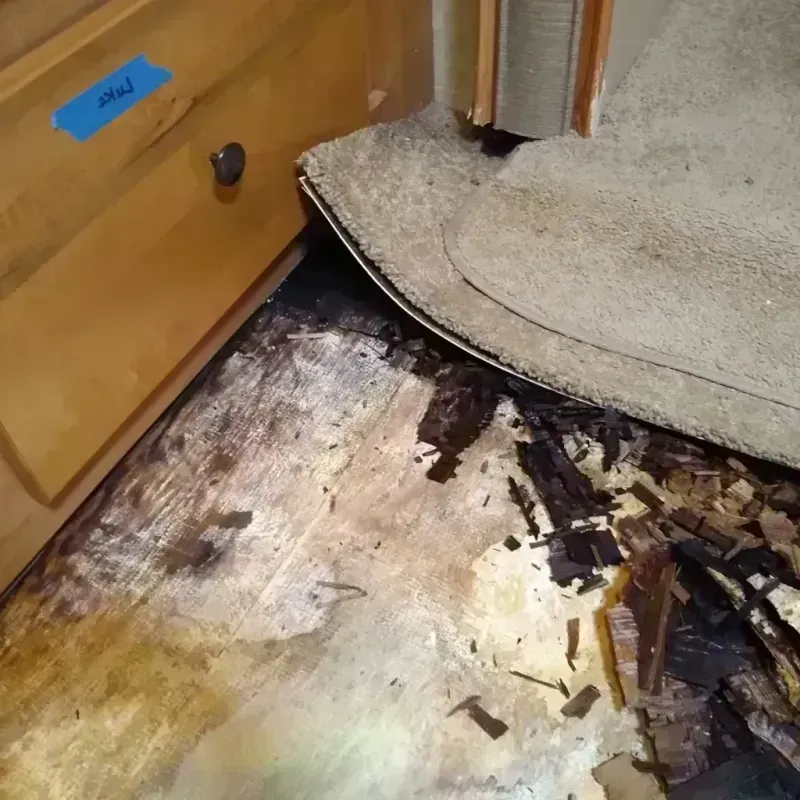 Wood Floor Water Damage in Rusk County, WI